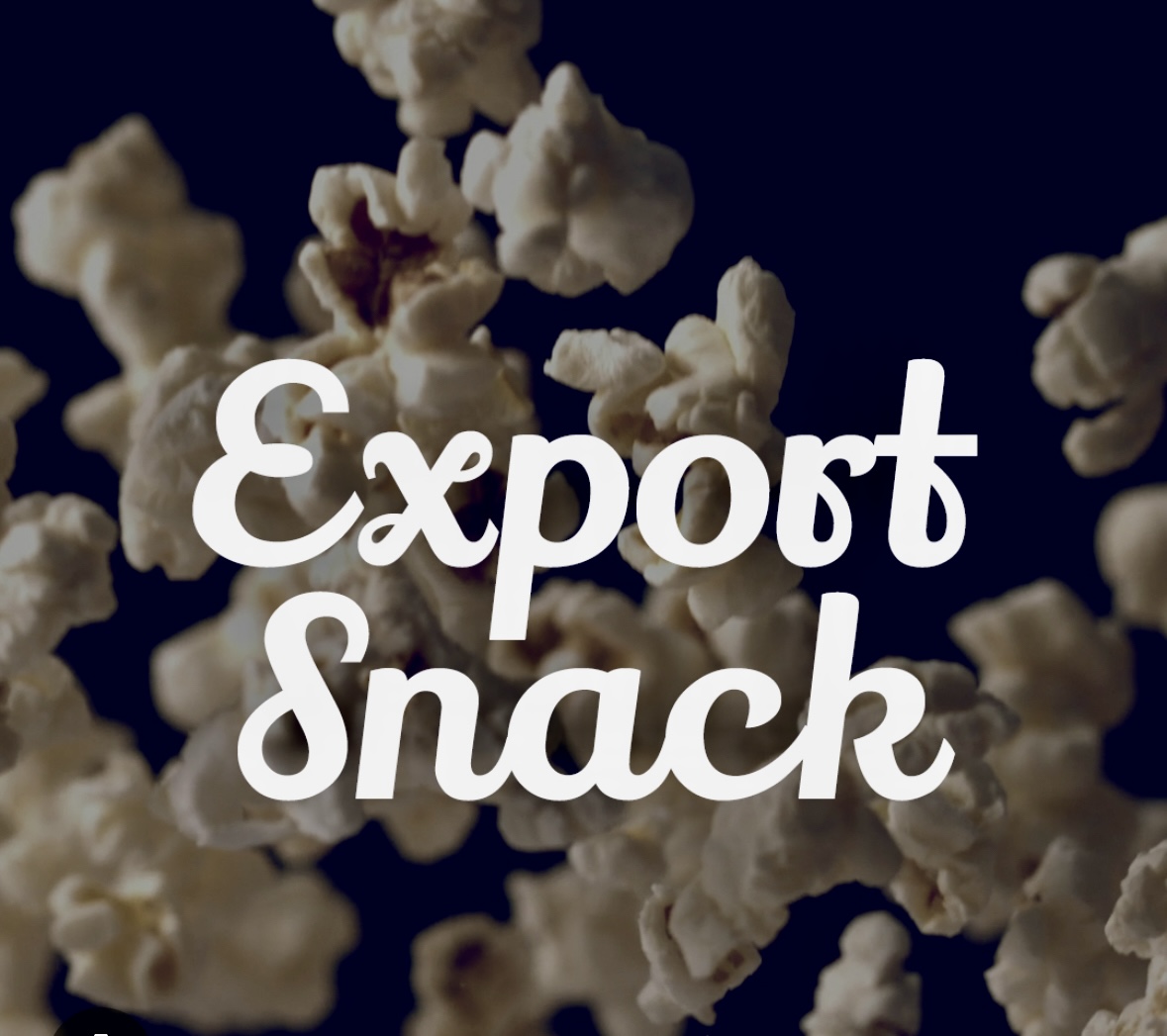Exportsnack: Generativ AI – så stärker du din export!